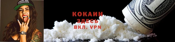 крисы Арсеньев