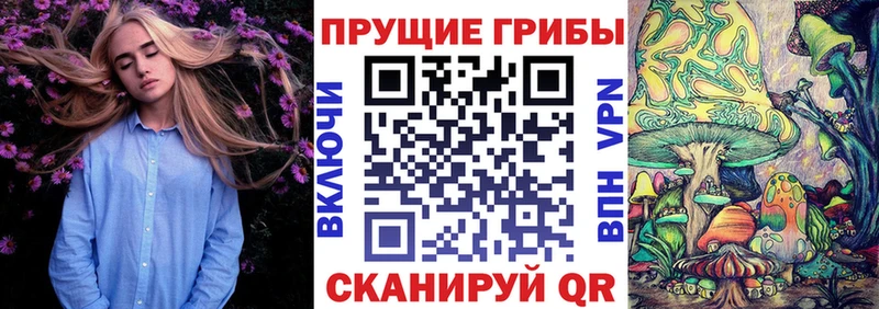 Галлюциногенные грибы GOLDEN TEACHER  Северо-Курильск 